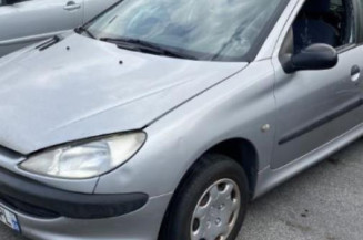 Porte arriere droit PEUGEOT 206