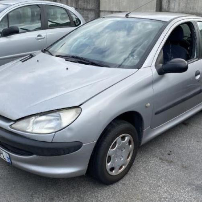 Porte arriere droit PEUGEOT 206 Photo n°12