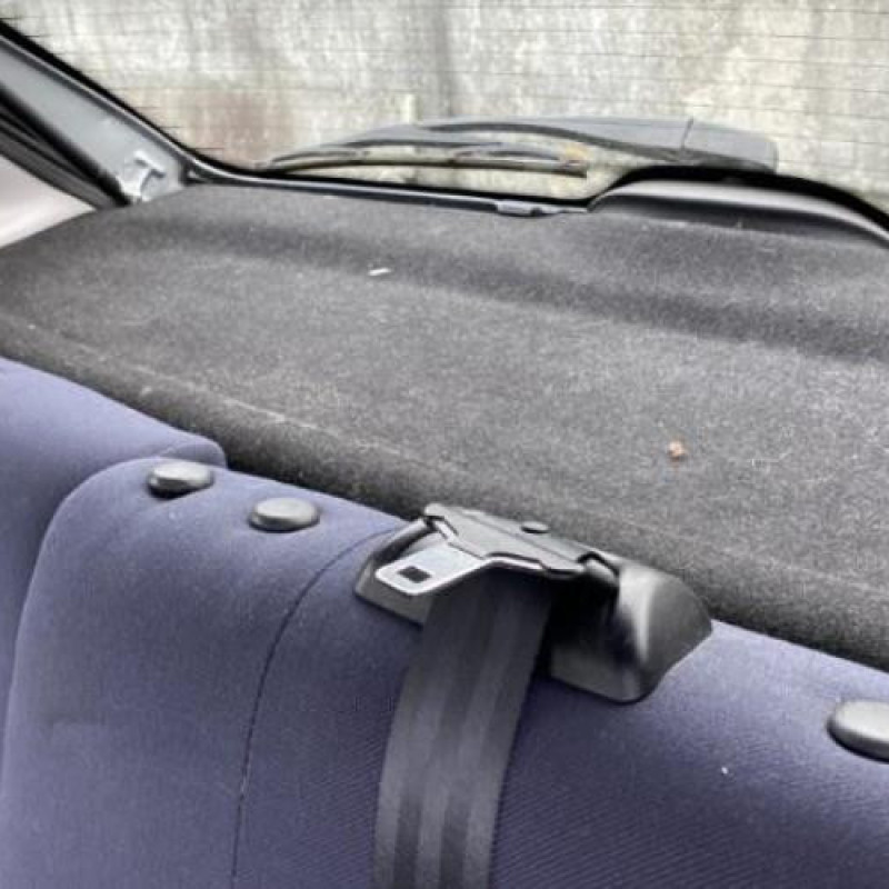 Porte arriere droit PEUGEOT 206 Photo n°13