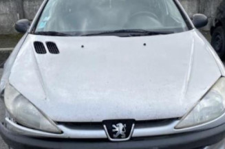 Porte arriere droit PEUGEOT 206
