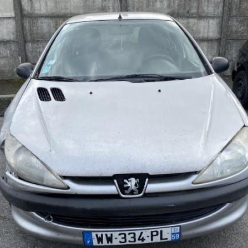 Porte arriere droit PEUGEOT 206 Photo n°15