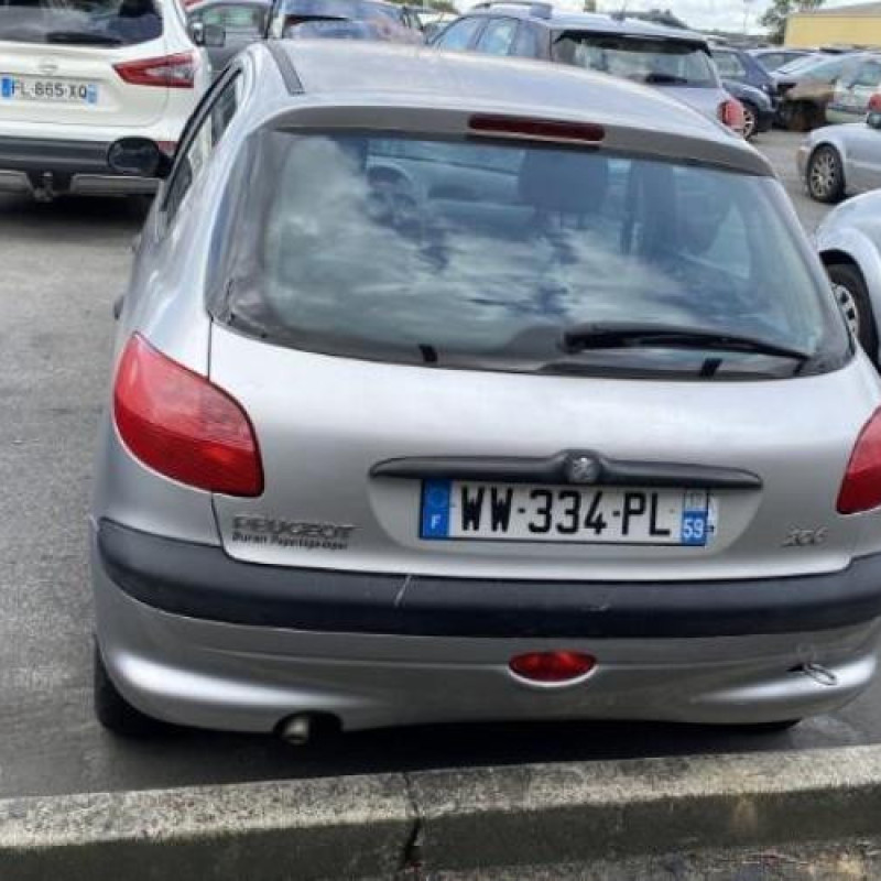 Porte arriere droit PEUGEOT 206 Photo n°19