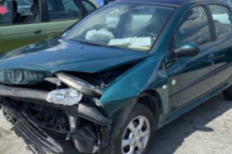 Porte avant gauche PEUGEOT 206