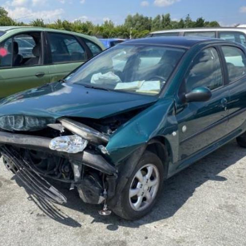 Porte avant gauche PEUGEOT 206 Photo n°9