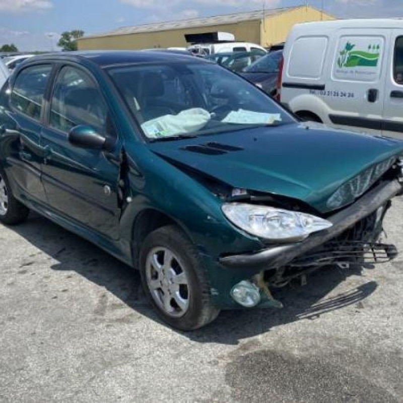 Porte avant gauche PEUGEOT 206 Photo n°12