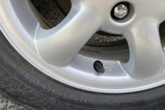 Porte avant gauche PEUGEOT 206