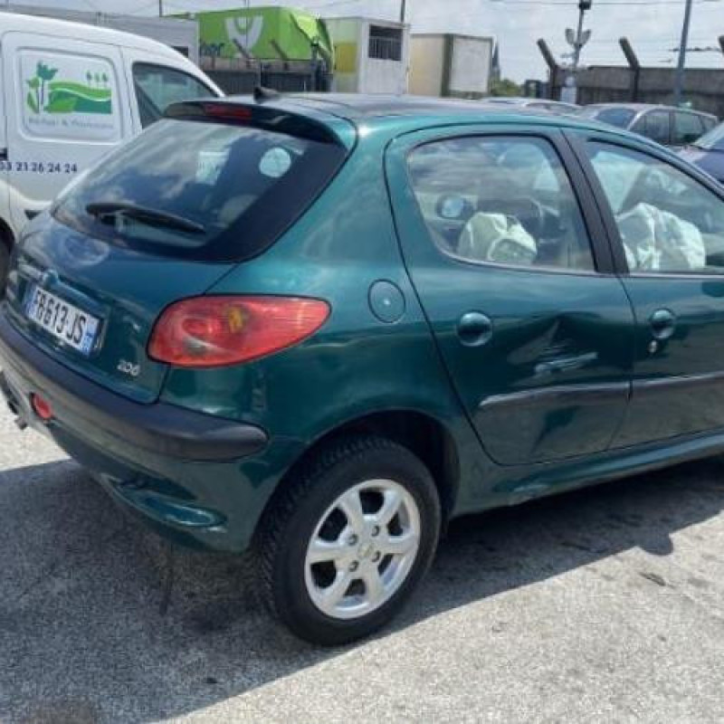 Porte avant gauche PEUGEOT 206 Photo n°19