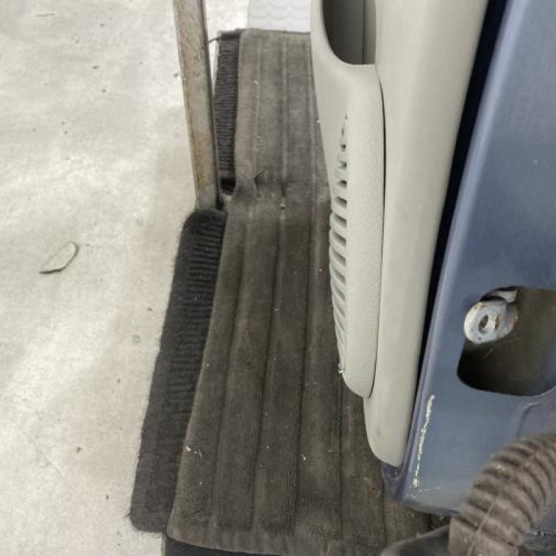 Porte arriere gauche RENAULT CLIO 2 Photo n°4