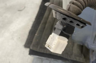 Porte arriere gauche RENAULT CLIO 2