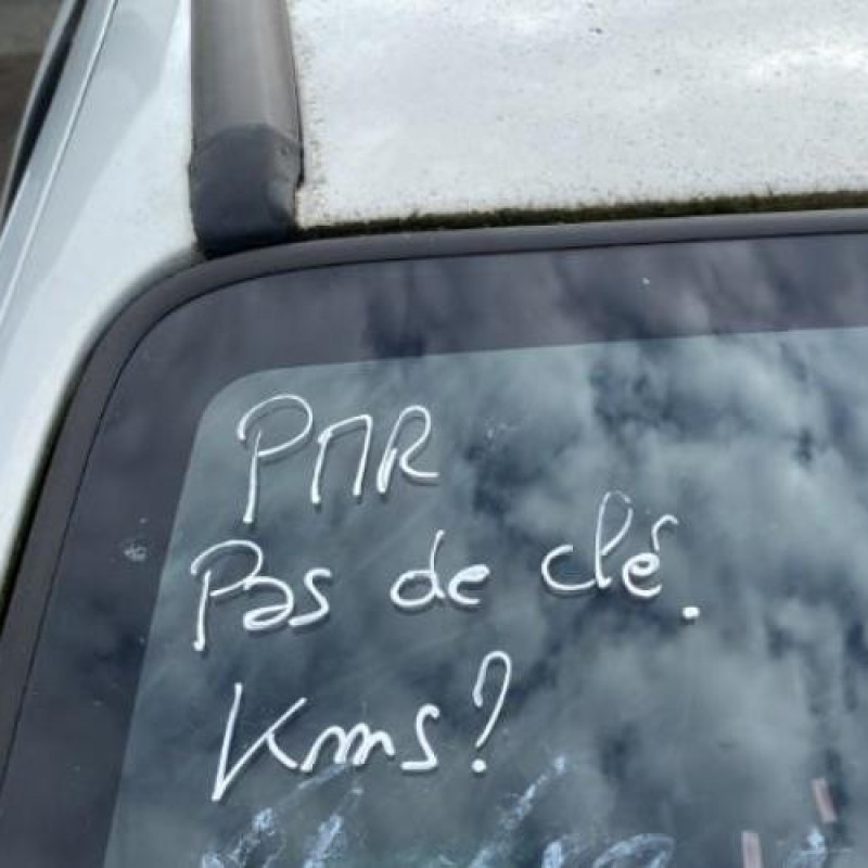 Poignee porte avant gauche RENAULT TWINGO 1 Photo n°3