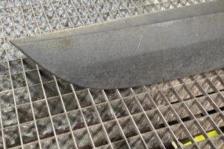 Baguette de porte arriere droite RENAULT MEGANE 3