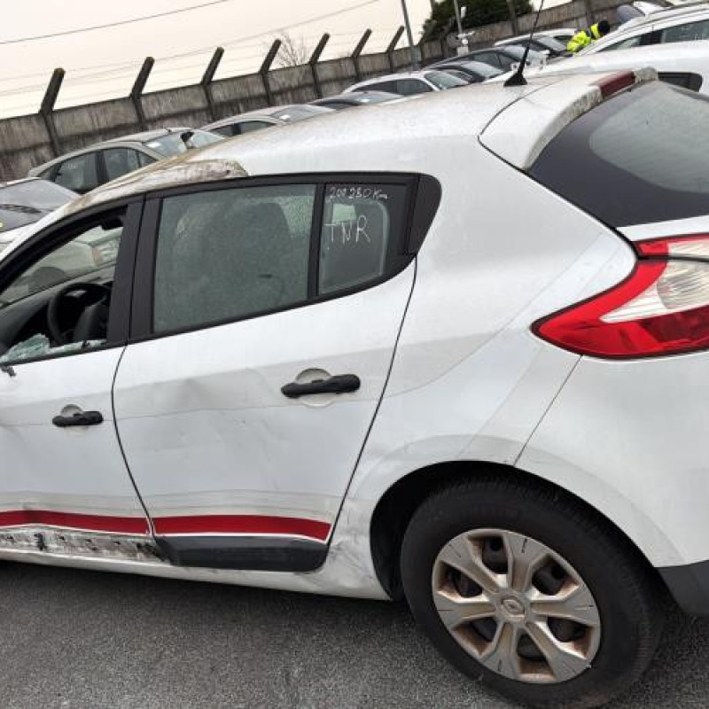 Baguette de porte arriere droite RENAULT MEGANE 3 Photo n°11