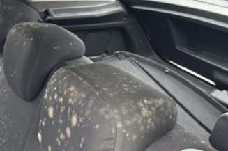 Baguette de porte arriere droite RENAULT MEGANE 3