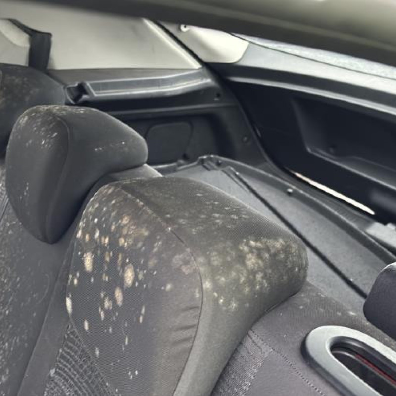 Baguette de porte arriere droite RENAULT MEGANE 3 Photo n°15
