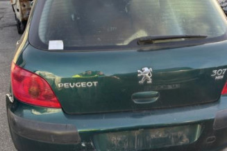 Bouton de warning PEUGEOT 307