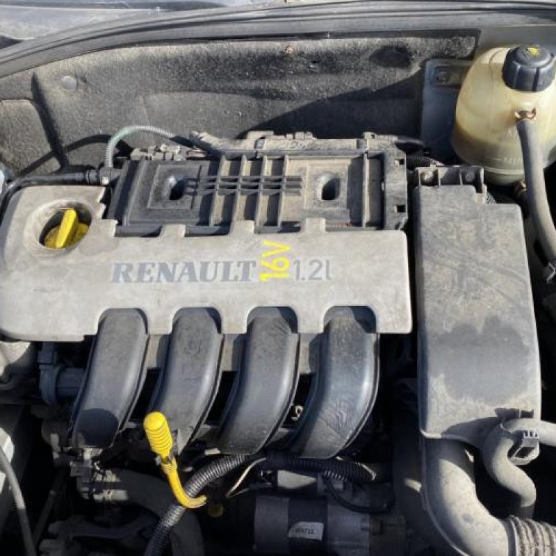 Pedale d'accelerateur RENAULT CLIO 2 Photo n°14