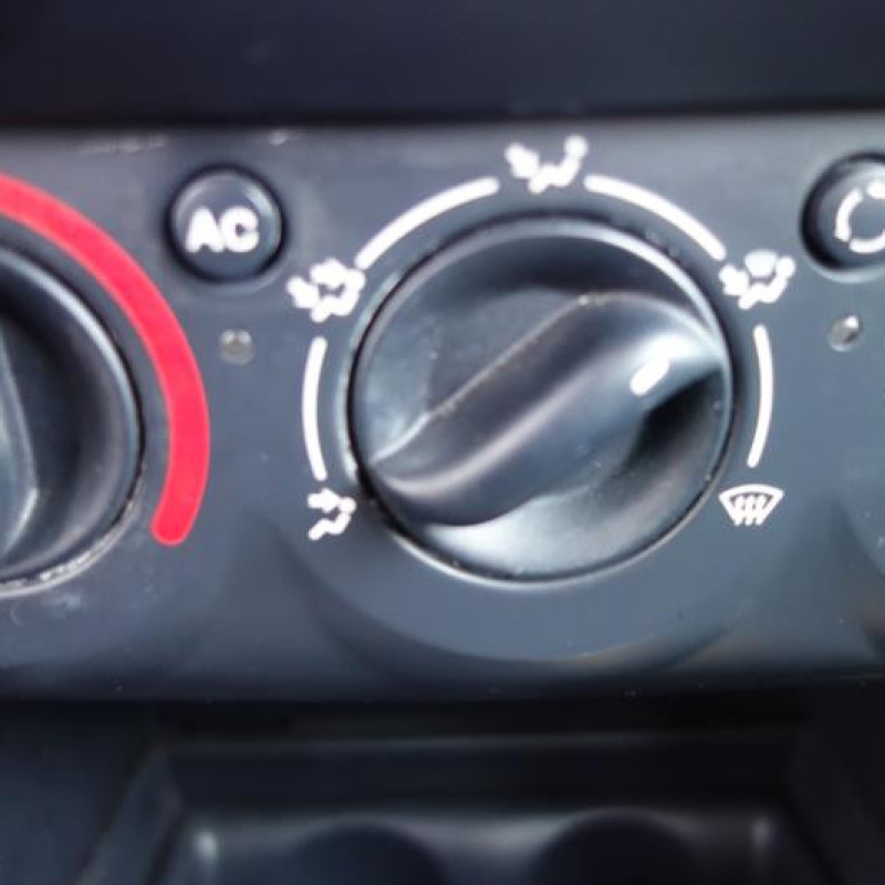 Baguette de porte arriere gauche  RENAULT CLIO 2 Photo n°5