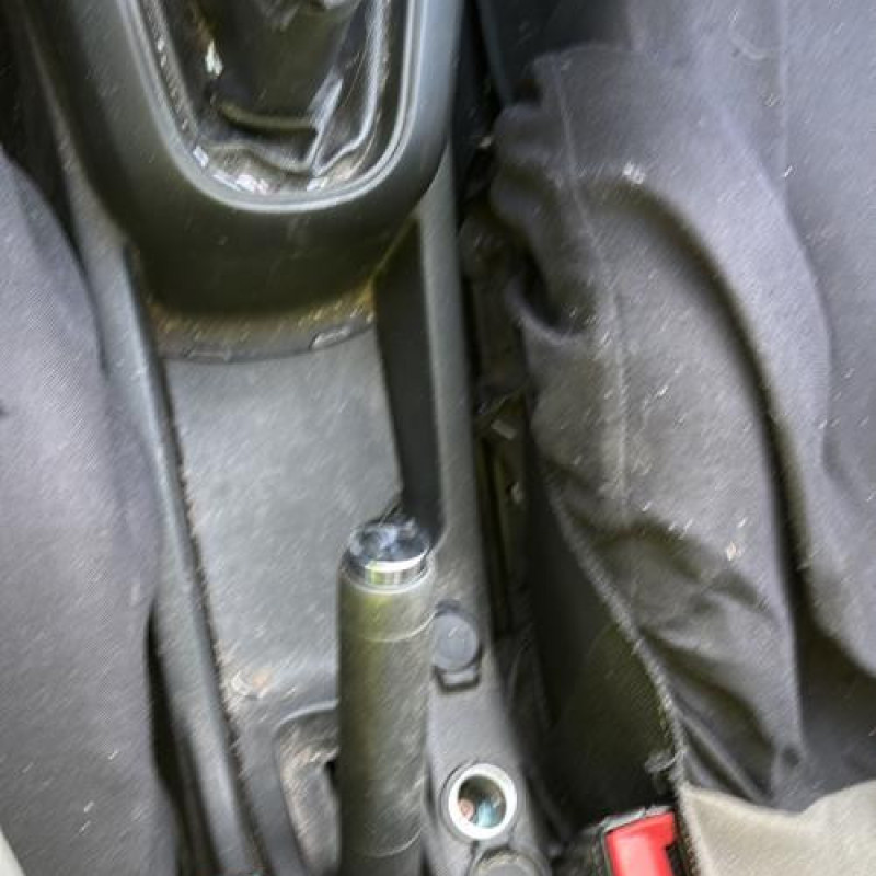 Bouton de warning CITROEN C3 2 Photo n°20