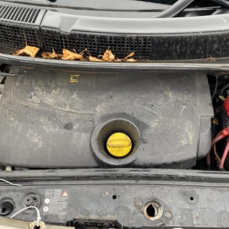 Poignee electrique frein a main RENAULT SCENIC 2 Photo n°20
