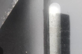 Bouton de warning RENAULT LAGUNA 2