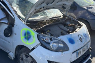 Vase de lave glace RENAULT TWINGO 2