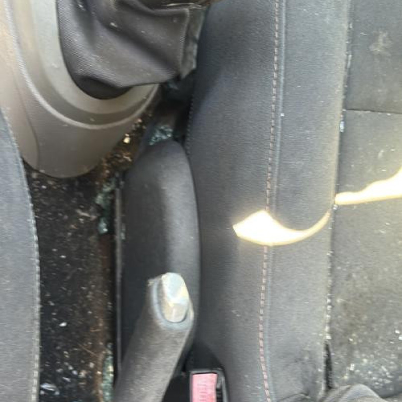 Vase de lave glace RENAULT TWINGO 2 Photo n°10