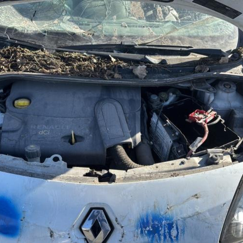 Vase de lave glace RENAULT TWINGO 2 Photo n°14