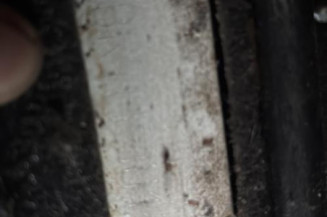 Cardan droit (transmission) RENAULT CLIO 2