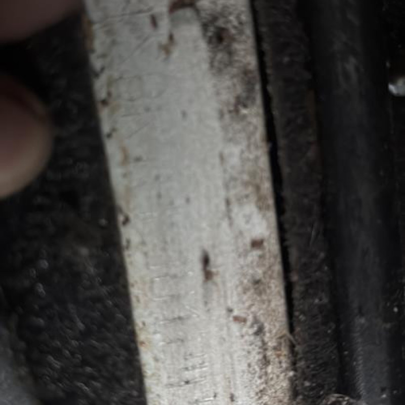 Cardan droit (transmission) RENAULT CLIO 2 Photo n°16