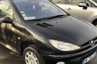 Neiman PEUGEOT 206