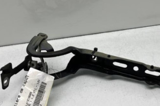 Charniere de capot PEUGEOT 208 1