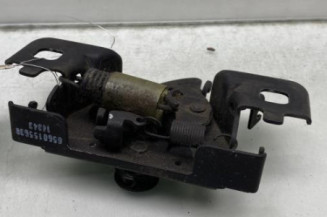 Fermeture de capot RENAULT ZOE 1