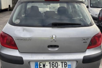 Retroviseur droit PEUGEOT 307