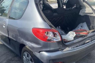 Cremaillere assistee PEUGEOT 206+