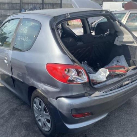 Cremaillere assistee PEUGEOT 206+