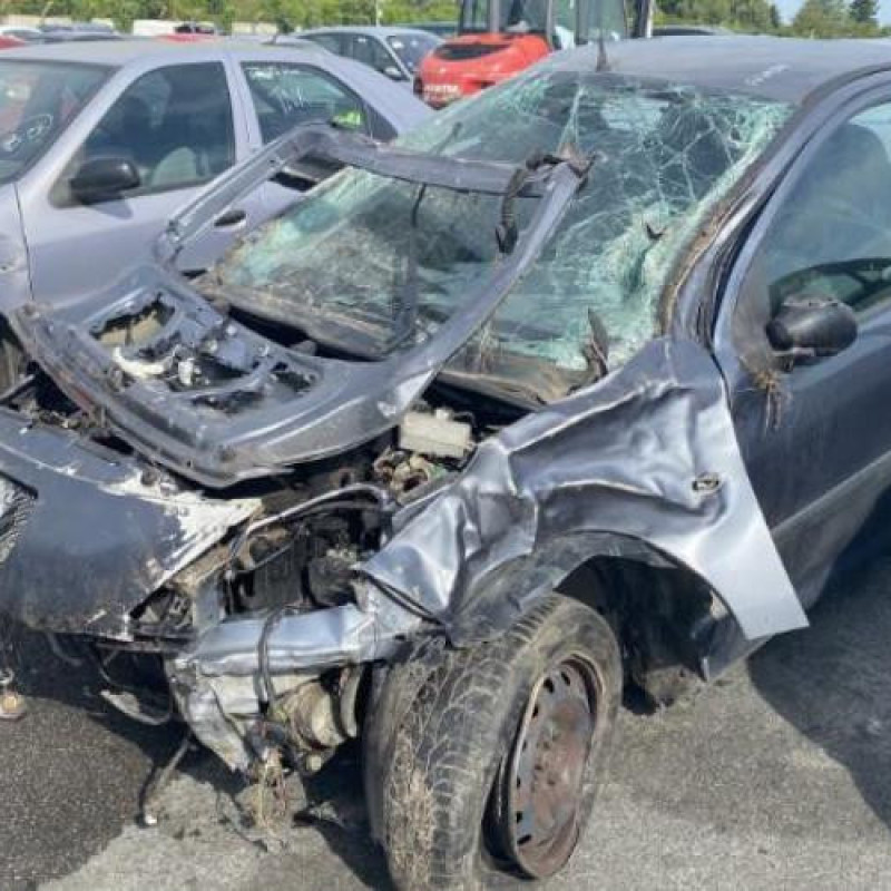 Cremaillere assistee PEUGEOT 206+ Photo n°4