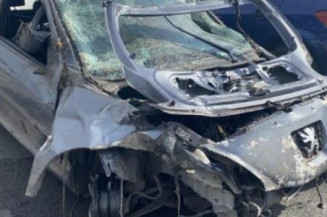 Cremaillere assistee PEUGEOT 206+