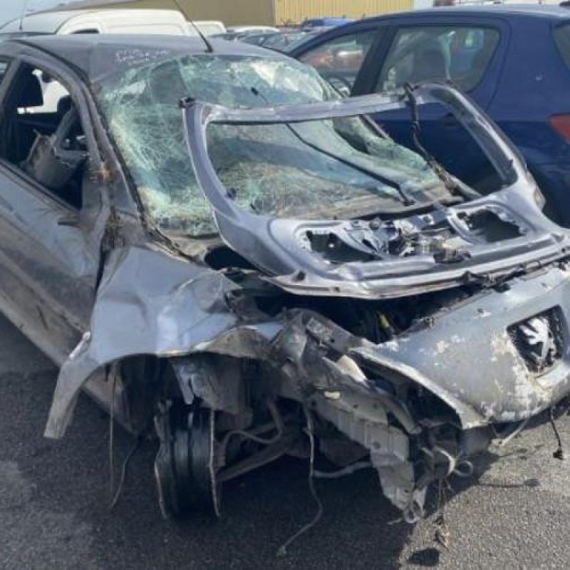 Cremaillere assistee PEUGEOT 206+ Photo n°9