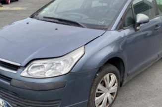 Vase de lave glace CITROEN C4 1