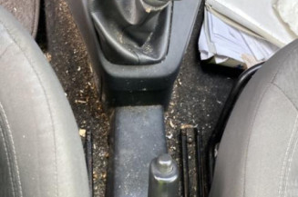 Poignee porte avant gauche DACIA LODGY