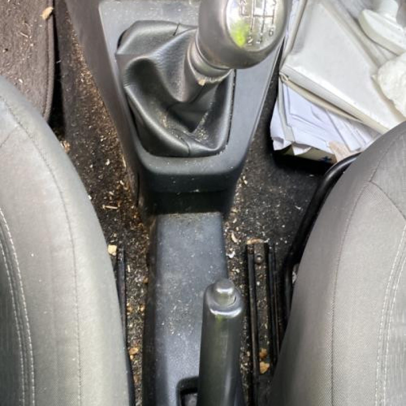 Poignee porte avant gauche DACIA LODGY Photo n°20