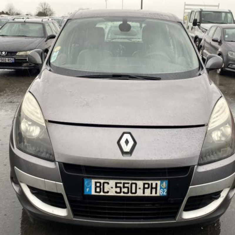 Feu arriere secondaire gauche (feux) RENAULT SCENIC 3 Photo n°12