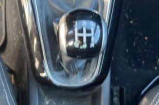 Poignee porte avant gauche CITROEN DS3