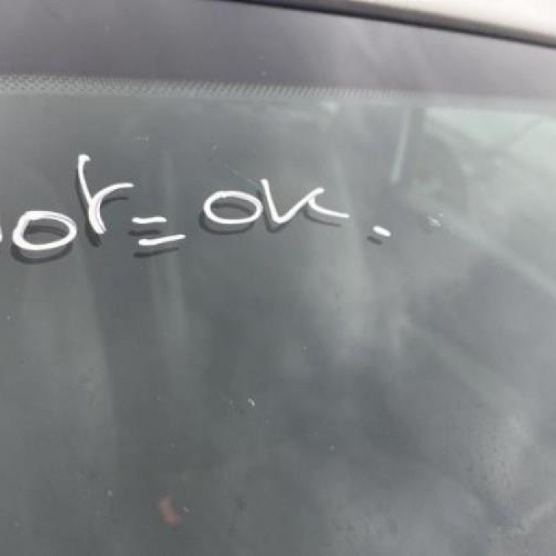Glace retroviseur droit RENAULT CLIO 3 Photo n°7