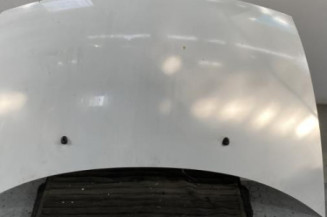 Capot CITROEN C3 1 Photo n°1