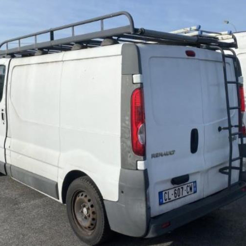 Custode avant gauche (porte) RENAULT TRAFIC 2 Photo n°6
