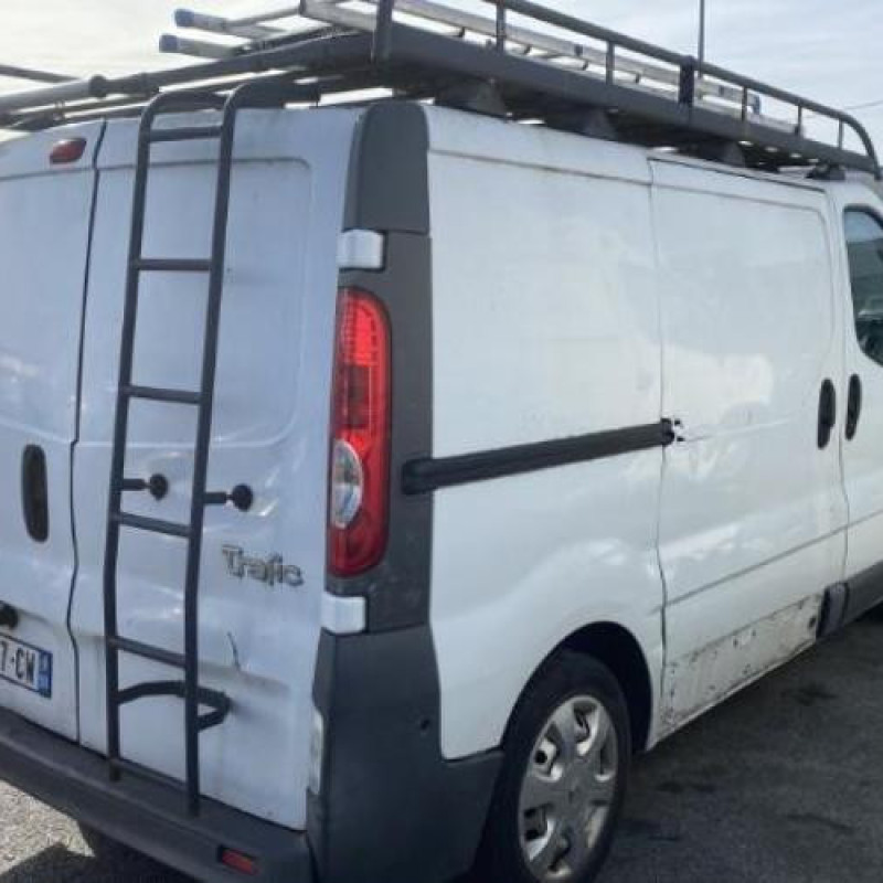 Custode avant gauche (porte) RENAULT TRAFIC 2 Photo n°11