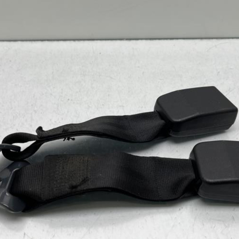 Attache ceinture arriere gauche PEUGEOT 206 Photo n°1
