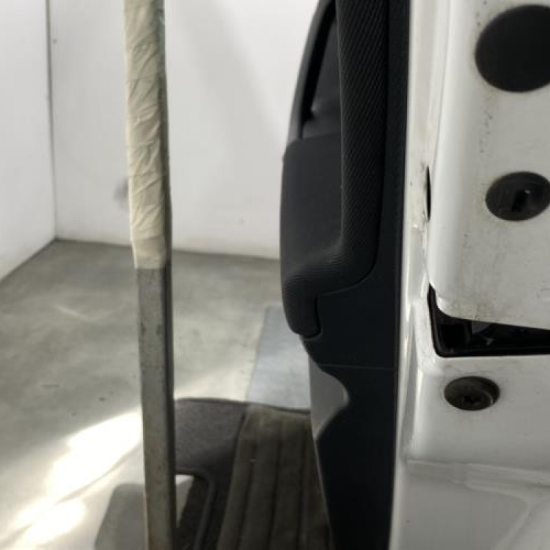 Porte arriere droit SKODA FABIA 2 Photo n°3