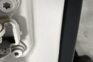 Porte arriere droit SKODA FABIA 2